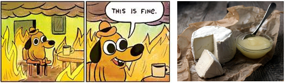 correlação espúria entre o meme "this is fine" e consumo de queijo.